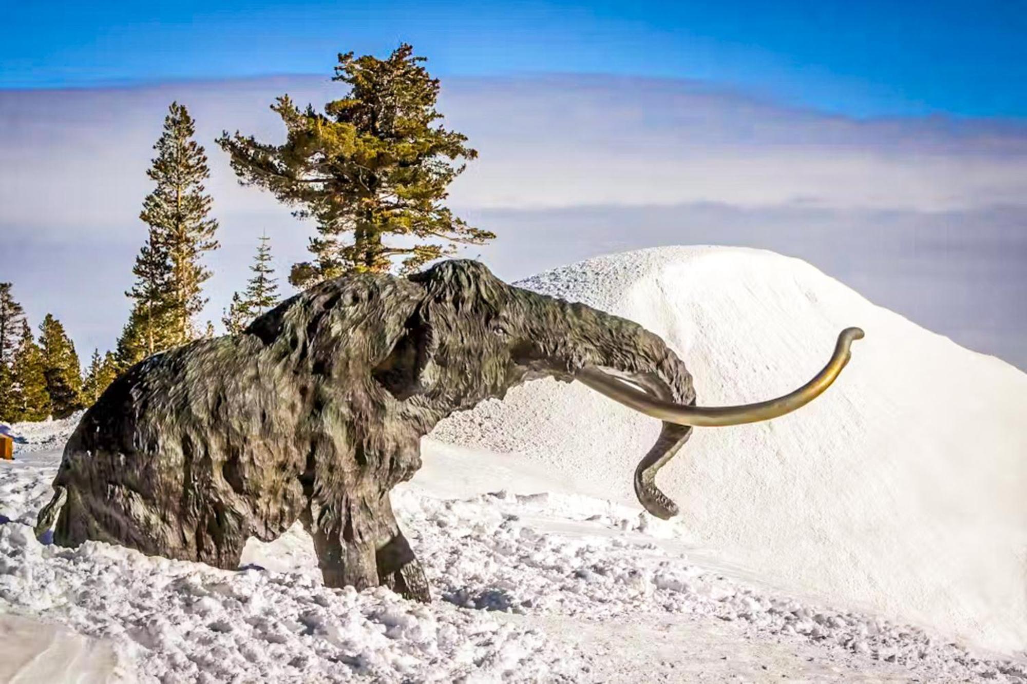Discovery 4 119 Mammoth Lakes Zewnętrze zdjęcie